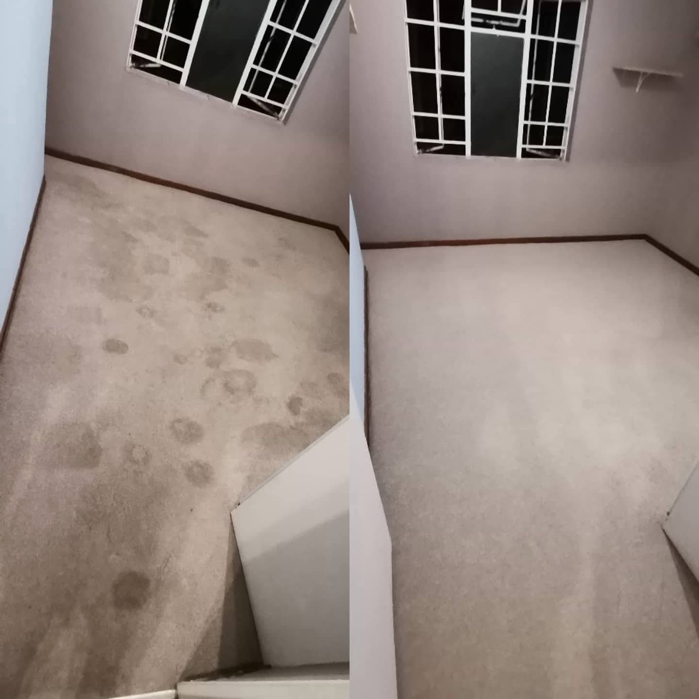 Fumigation & Pest Control